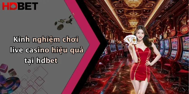 Kinh nghiệm chơi live casino hiệu quả tại hdbet